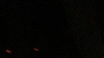 El ex guardaespaldas de Britney Spears que parar la tutela legal sería lo peor para la cantante.