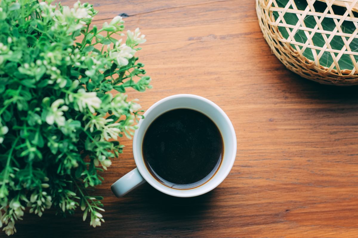 How Recurrent Coffee Consumption Intervenes on Vitamin D Levels