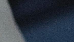 Dieta basada en plantas