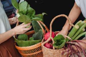 Dieta basada en plantas y veganismo: cómo difieren y cómo no