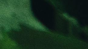 Dieta basada en plantas