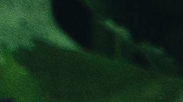 Dieta basada en plantas