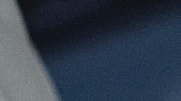 Dieta basada en plantas