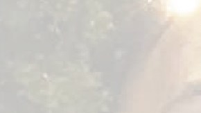 La organización 1800 Migrante lanzó una segunda alerta de personas desaparecidas.