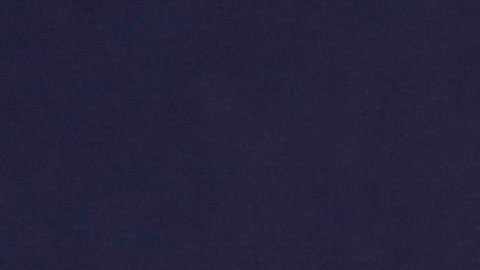 Photo © 2019 Eyepix Images/The Grosby Group