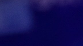 Bitcoin, Dogecoin y Ethereum: las criptomonedas propiedad de Elon Musk