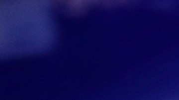 Bitcoin, Dogecoin y Ethereum: las criptomonedas propiedad de Elon Musk