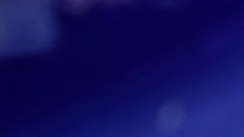 Bitcoin, Dogecoin y Ethereum: las criptomonedas propiedad de Elon Musk