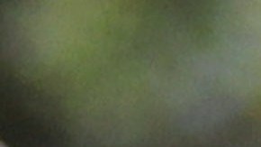 Meghan Markle y el príncipe Harry, los duques de Sussex.