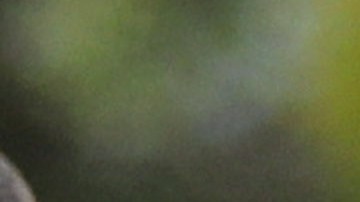 Meghan Markle y el príncipe Harry, los duques de Sussex.