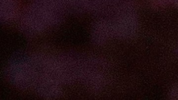 La expareja presidencial.