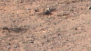 Ola de calor azota a inmigrantes en Arizona.