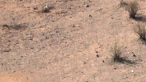 Ola de calor azota a inmigrantes en Arizona.
