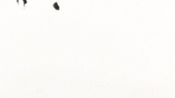 Floyd Mayweather Jr.