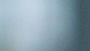 Violencia domestica marcha Belgica