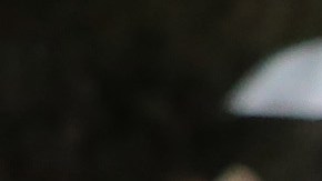 Las cartas serán firmadas por miles de indocumentados y soñadores.