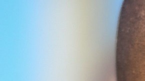 Un estadounidense entre los 6 detenidos por asesinato de presidente de Haití