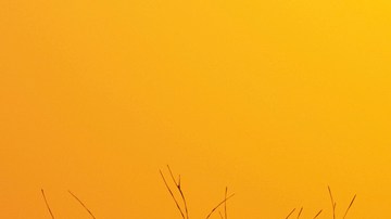 GettyImages-1197479288