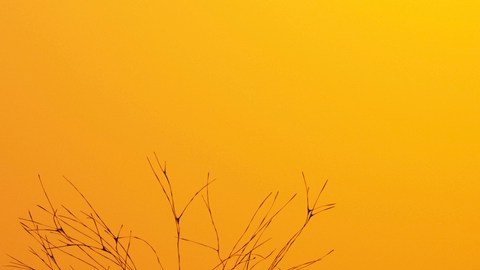 GettyImages-1197479288
