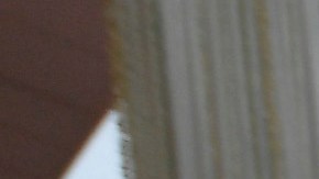 Scarlett Johansson y Colin Jost