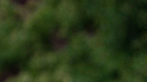 El presidente Trump cobra al Servicio Secreto por alojar a los agentes que lo cuidan.