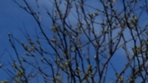 Brooklyn Bridge Park