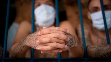 Miembros de la MS-13 detenidos en El Salvador. (Archivo)