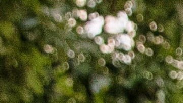 Los Biden y Cuomo en WTC, septiembre 2020.