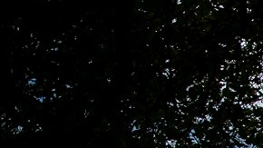 La Corte Suprema respaldó la ley electoral de Arizona.