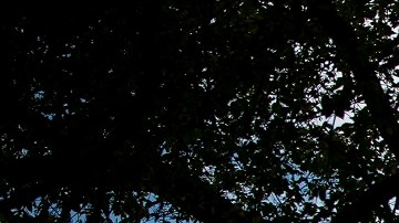 La Corte Suprema respaldó la ley electoral de Arizona.