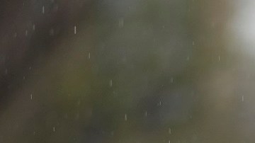 Activistas y gobernantes de varias ciudades consideran que los inmigrantes "hicieron su trabajo" durante la pandemia.