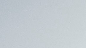 Durante casi un mes, un grupo de inmigrantes hizo ayuno frente al Congreso.