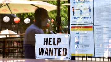 Desempleo ofertas de empleo