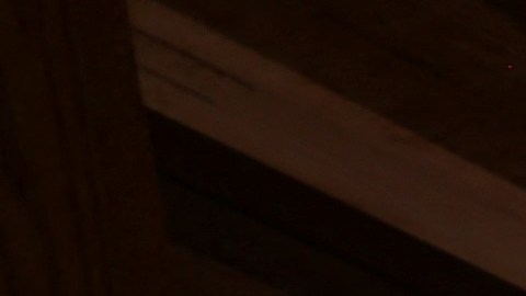 Juegos Olímpicos de Tokio 2020