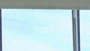 Viajeros EEUU Covid 19