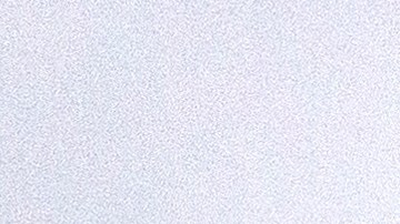 Tormenta Elsa en Florida