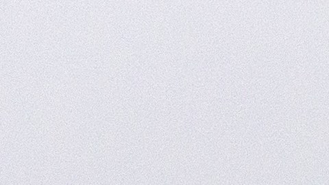 Tormenta Elsa toca tierra en el condado Taylor, en el noroeste de Florida