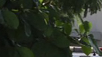 La primera dama de Haití llegó grave a hospital de Miami tras brutal asesinato de Jovenel Moïse