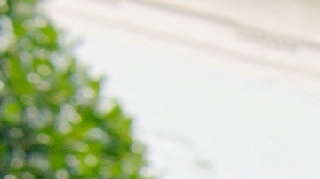 Eric Adams en la Casa Blanca, julio 2021.