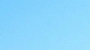 Cubanos en favor del regimen