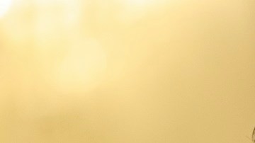 El oficial Fanone rindió testimonio este martes en el Congreso.