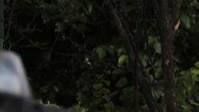 En operaciones especiales para rastrear armas de fuego la uniformada de la Gran Manzana recibirá refuerzos de la inteligencia de la policía estatal. (Foto: Spencer Platt - Getty Images)