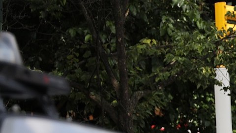 En operaciones especiales para rastrear armas de fuego la uniformada de la Gran Manzana recibirá refuerzos de la inteligencia de la policía estatal. (Foto: Spencer Platt - Getty Images)
