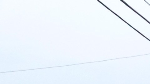 Tiroteo en Auburn Gresham