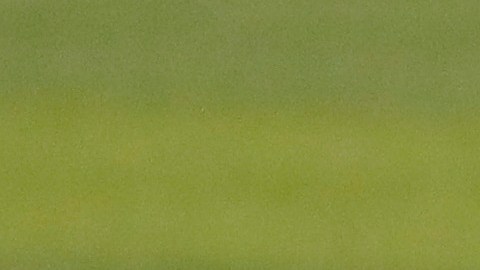 Eddy Álvarez