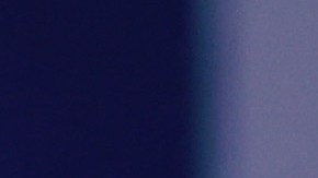 Casa Blanca coronavirus