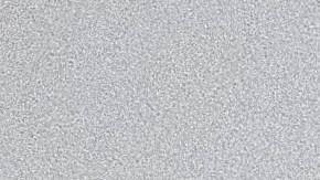 Congresista Ocasio Cortez se solidariza con las protestas en Cuba, pero critica el embargo de EEUU