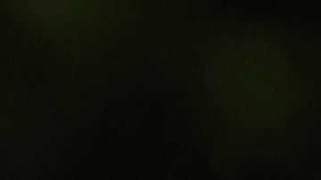 Los dolientes se reúnen en el sitio conmemorativo de las víctimas del colapso de Champlain Towers South.