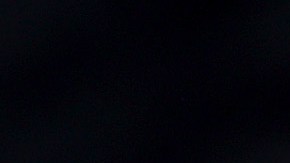 MIAMI, FLORIDA - JULY 13: Protesters shut down part of the Palmetto Expressway as they show their support for the people in Cuba that have taken to the streets to protest on July 13, 2021 in Miami, Florida. On Sunday, thousands of Cubans took to the streets across the country  to protest pandemic restrictions, the pace of Covid-19 vaccinations and the Cuban government.  (Photo by Joe Raedle/Getty Images)