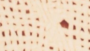 Gael García, protagonista de la cinta OLD.